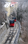 Celje HM